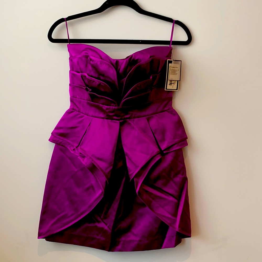 Stunning Magenta Jewel-Tone Temperley Dress